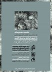 نشستهای مشترک تخصصی هفته پژوهش