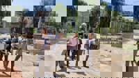 عکس 2062