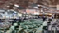 عکس 2239